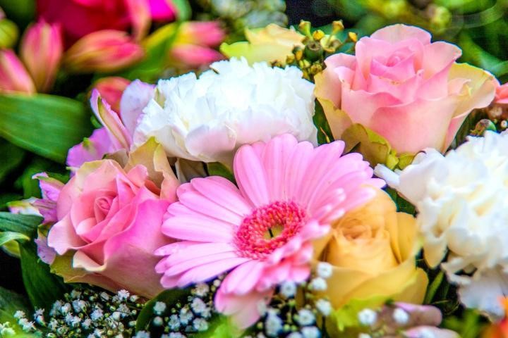 Ý nghĩa hơn với 6 loài hoa làm quà 8/3 cho người yêu