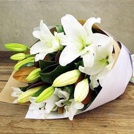 Ý nghĩa hơn với 6 loài hoa làm quà 8/3 cho người yêu