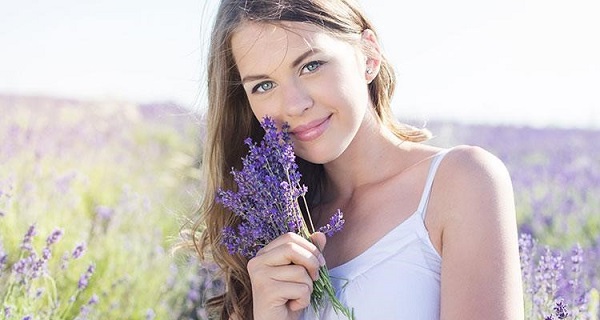 hoa lavender khô