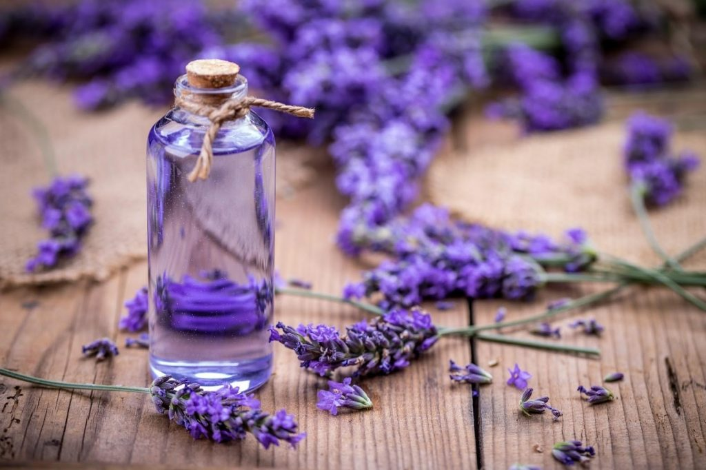 tinh dầu lavender