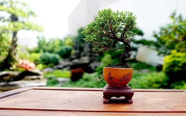 quà 8/3 cho bà