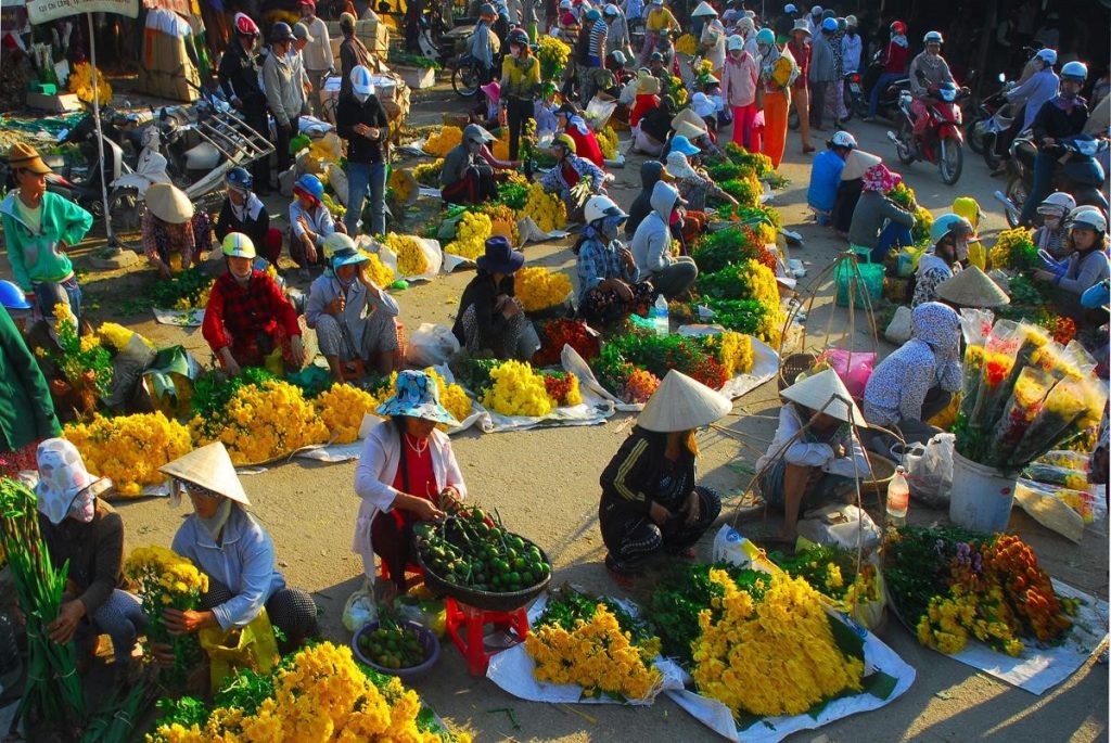 hoa trưng tết