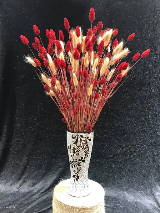 hoa trưng tết