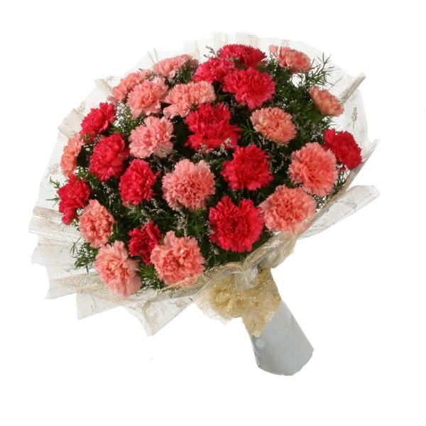 Ý nghĩa hơn với 6 loài hoa làm quà 8/3 cho người yêu