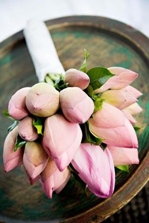 Ý nghĩa hơn với 6 loài hoa làm quà 8/3 cho người yêu
