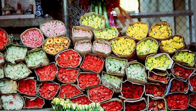 hoa trưng tết