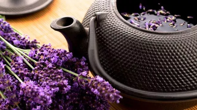 trà Lavender
