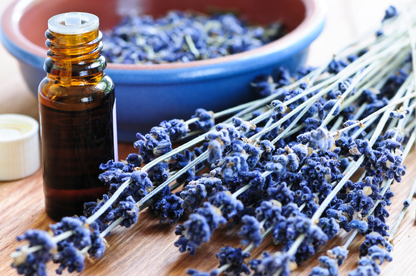tinh dầu lavender