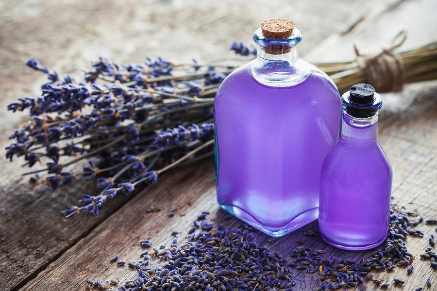 tinh dầu lavender