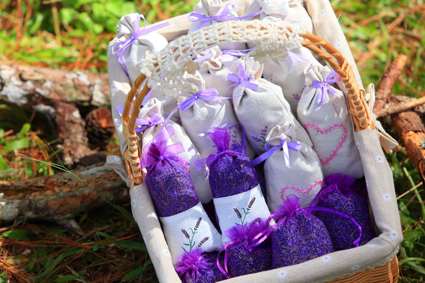 túi thơm Lavender