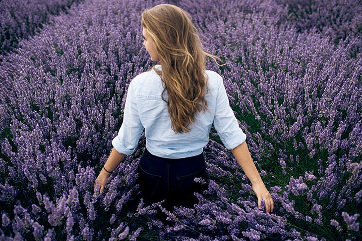 tinh dầu Lavender