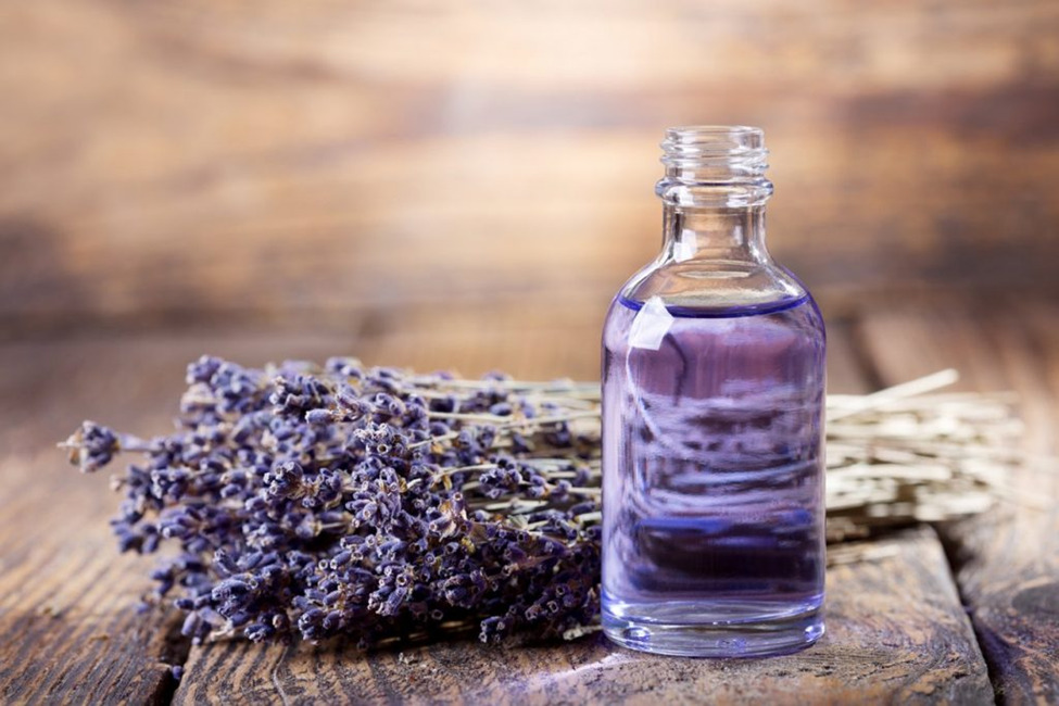 tinh dầu Lavender