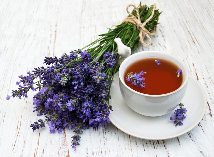 trà Lavender