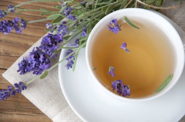 trà Lavender