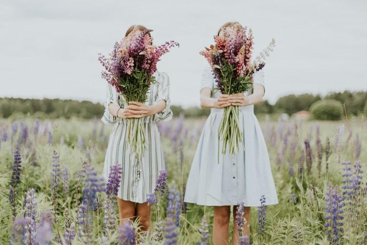 trà Lavender
