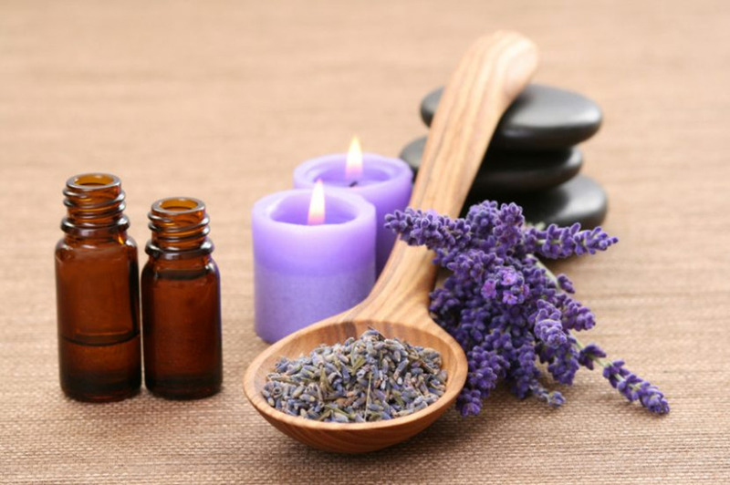 nụ hoa Lavender khô