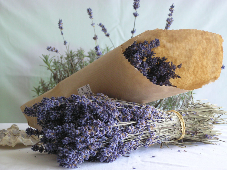 hoa khô Lavender