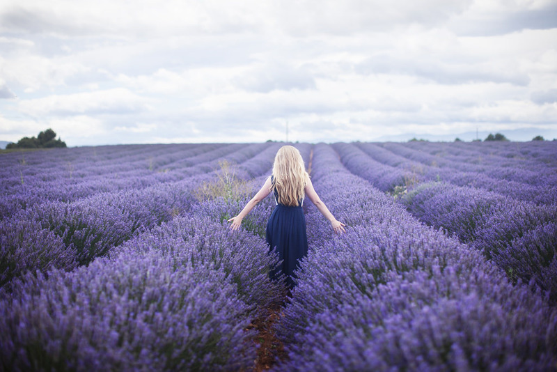 sữa tắm Lavender