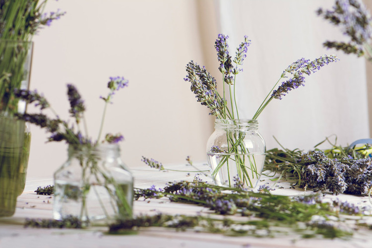 Sữa tắm Lavender Pháp