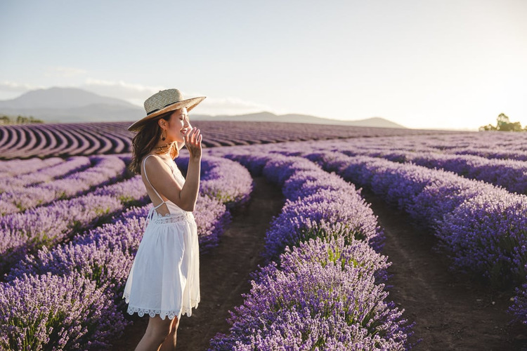 dưỡng thể Lavender