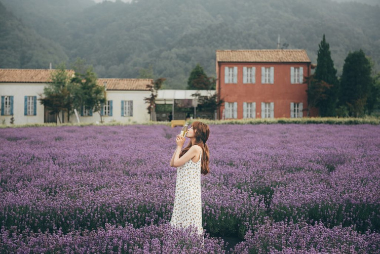 dưỡng thể Lavender