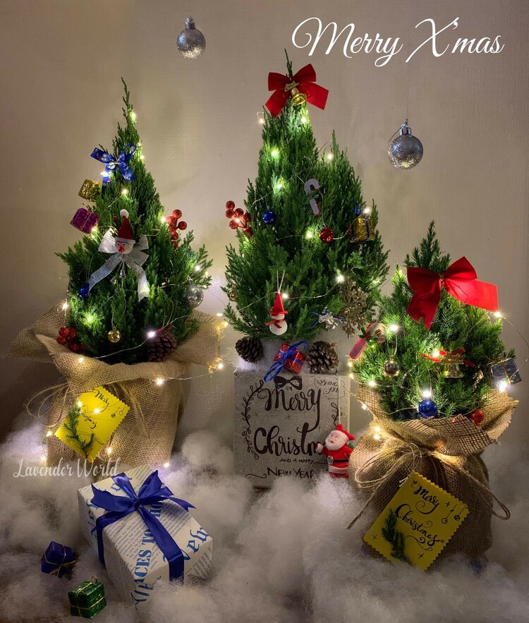 quà tặng noel
