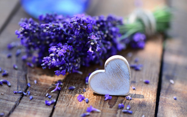 Sữa tắm Lavender Pháp